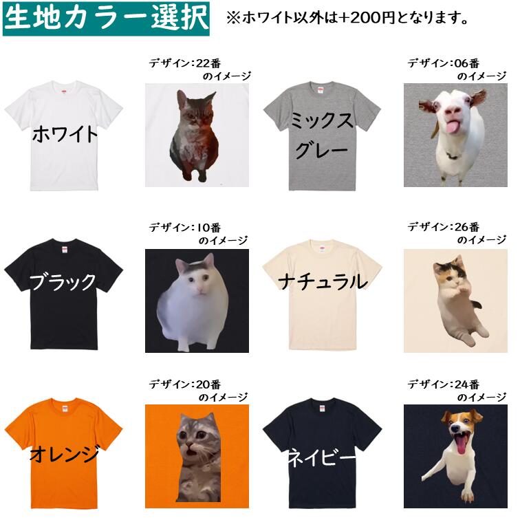 イラスト系半袖Tシャツ【なんか違くない!?Tシャツ アザラシペンギン】おもしろTシャツ ネタTシャツ