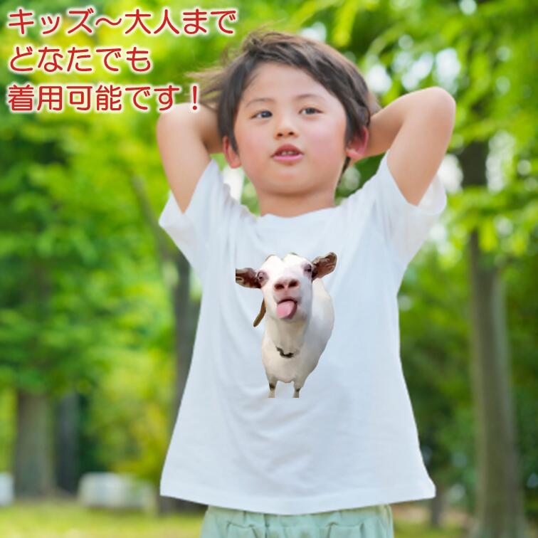 猫ミーム半袖Tシャツ【選べる26種おもしろ猫ミームTシャツ】おもしろTシャツ ネタTシャツ チピチャパ ハッピーハッピー うるさいヤギ hah は? バナナ猫