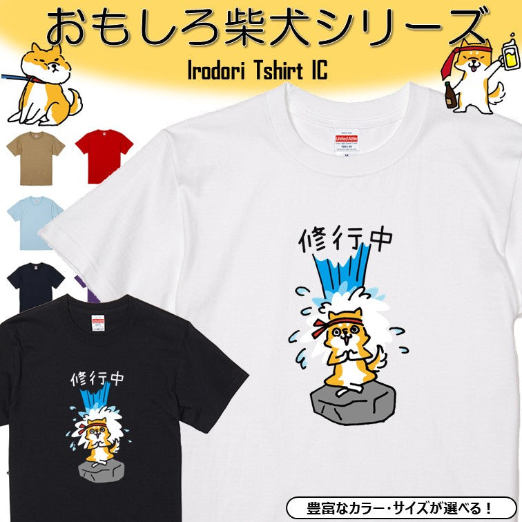 犬好きのための柴犬イラスト半袖Tシャツ【おもしろ柴犬Tシャツ 修行中】おもしろTシャツ ネタTシャツ
