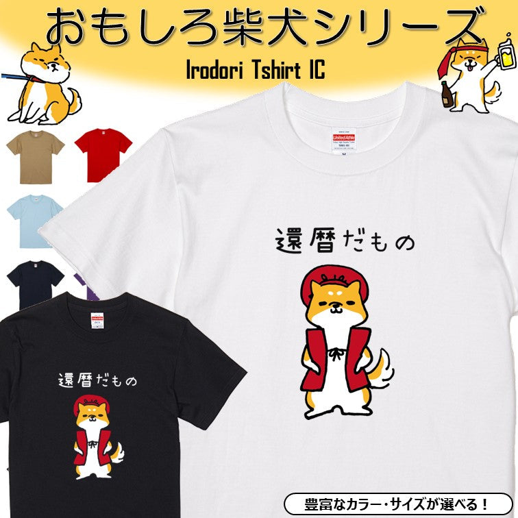 犬好きのための柴犬イラスト半袖Tシャツ【おもしろ柴犬Tシャツ 還暦だもの】おもしろTシャツ ネタTシャツ