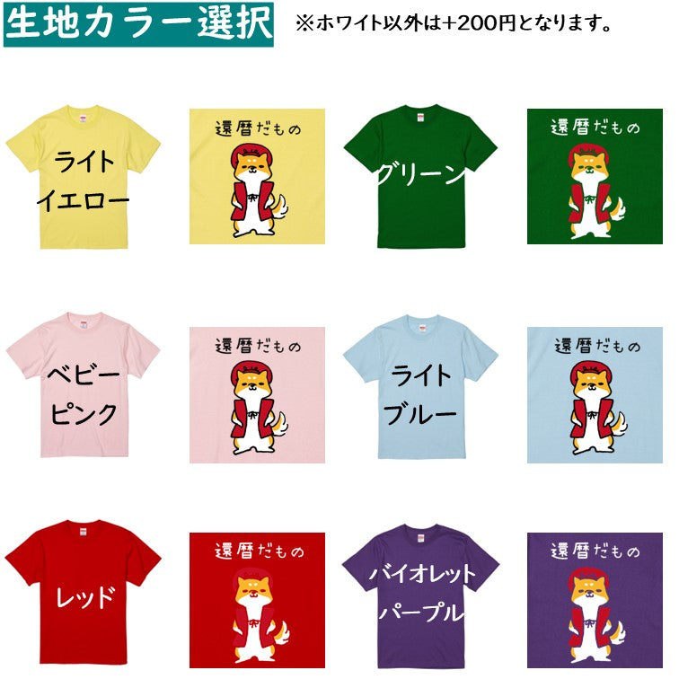 犬好きのための柴犬イラスト半袖Tシャツ【おもしろ柴犬Tシャツ 還暦だもの】おもしろTシャツ ネタTシャツ