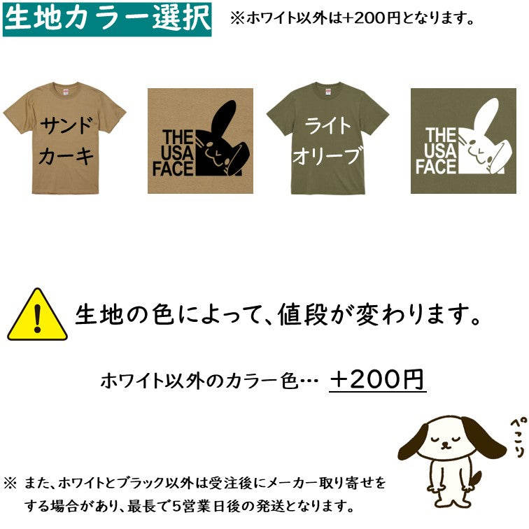 イラスト系半袖Tシャツ【THE USA FACE Tシャツ】おもしろTシャツ ネタTシャツ