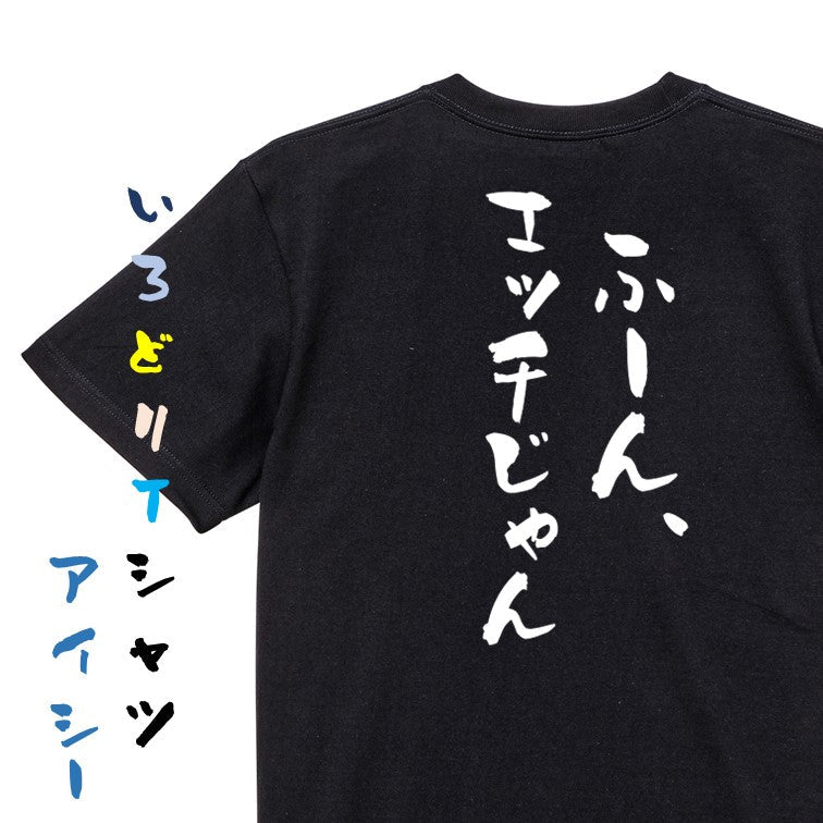 ネタ系半袖Tシャツ【ふーん、エッチじゃん】おもしろTシャツ ネタTシャツ – いろどりTシャツアイシー