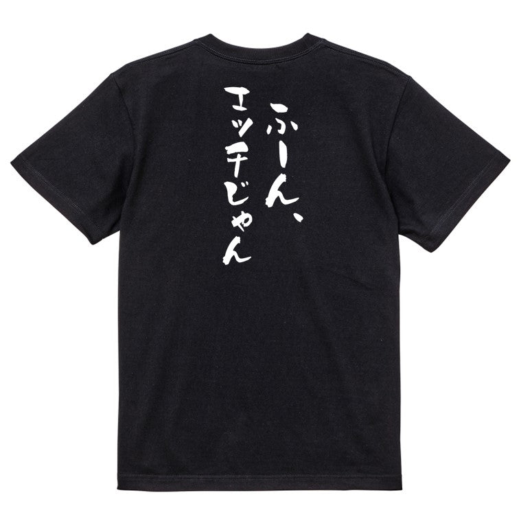 ネタ系半袖Tシャツ【ふーん、エッチじゃん】おもしろTシャツ ネタTシャツ
