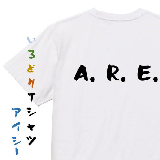 野球系半袖Tシャツ【A．R．E．】おもしろTシャツ　ネタTシャツ