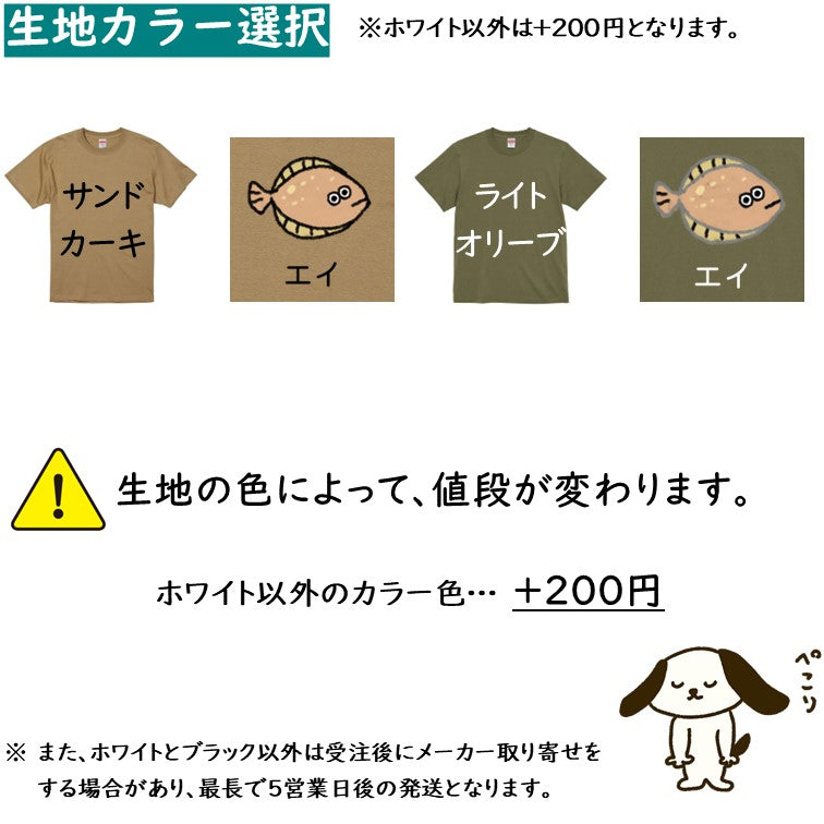 イラスト系半袖Tシャツ【なんか違くない！？Tシャツ エイヒラメ】おもしろTシャツ　ネタTシャツ