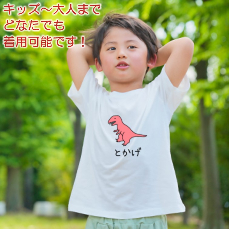 【長袖・ドライ有】選べる なんか違くない！？ tシャツ おもしろ ネタ