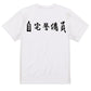 筆文字ネタ系半袖Tシャツ【自宅警備員(横)(筆文字)】おもしろTシャツ　ネタTシャツ