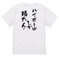 酒飲み系半袖Tシャツ【ハイボールしか勝たん！】おもしろTシャツ　ネタTシャツ