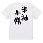 ネタ系半袖Tシャツ【半袖小僧】おもしろTシャツ　ネタTシャツ