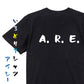 野球系半袖Tシャツ【A．R．E．】おもしろTシャツ　ネタTシャツ