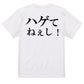 明朝体ハゲ系半袖Tシャツ【ハゲてねぇし！(横)(明朝体)】おもしろTシャツ　ネタTシャツ