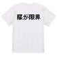 ファミコン風ネタ系半袖Tシャツ【腰が限界(横)(ファミコン文字)】おもしろTシャツ　ネタTシャツ