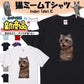 猫ミーム半袖Tシャツ【きょろきょろ猫】おもしろTシャツ　ネタTシャツ