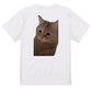 猫ミーム半袖Tシャツ【説教される猫】おもしろTシャツ　ネタTシャツ