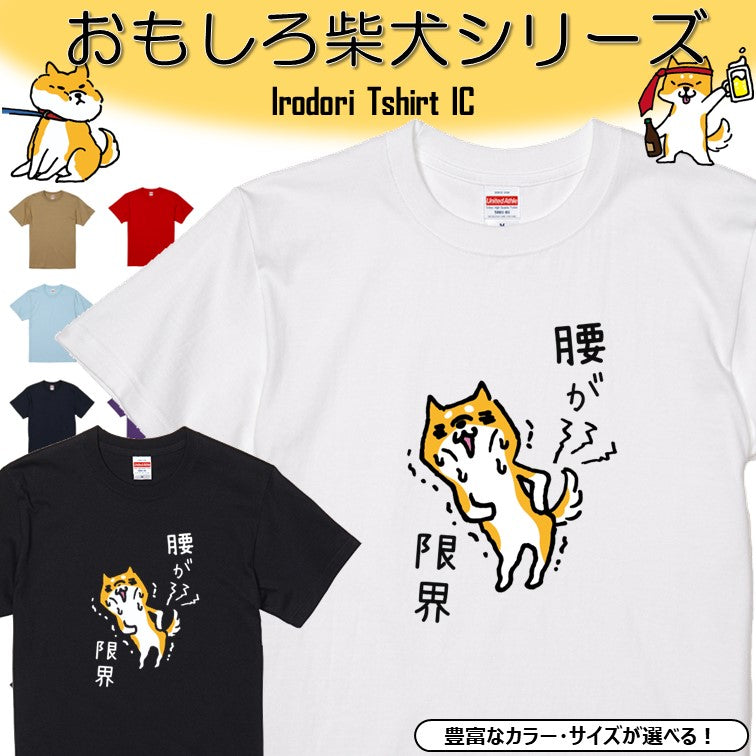 犬好きのための柴犬イラスト半袖Tシャツ【おもしろ柴犬Tシャツ 腰が限界】おもしろTシャツ　ネタTシャツ