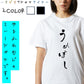 ゆる文字食べ物系半袖Tシャツ【うめぼし(ゆる文字)】おもしろTシャツ　ネタTシャツ