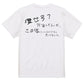 子供のらくがきデブ系半袖Tシャツ【痩せろ？何言ってんだ。この体にいくらかけたと思ってるんだ(横)(らくがき文字)】おもしろTシャツ　ネタTシャツ