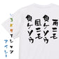 脱力系半袖Tシャツ【雨ニモ負ケソウ風ニモ負ケソウ】おもしろTシャツ　ネタTシャツ