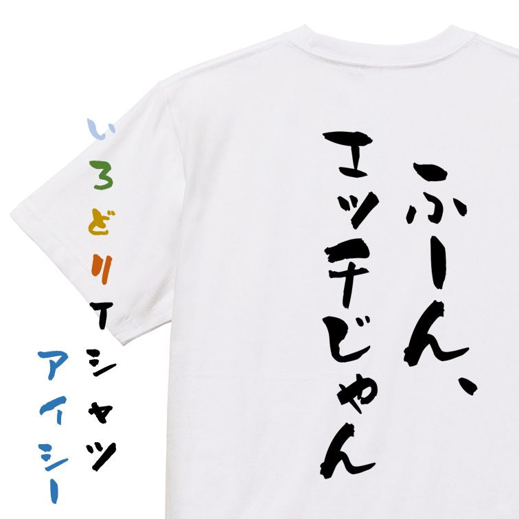ネタ系半袖Tシャツ【ふーん、エッチじゃん】おもしろTシャツ　ネタTシャツ