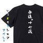 ネタ系半袖Tシャツ【永遠の十七歳】おもしろTシャツ　ネタTシャツ