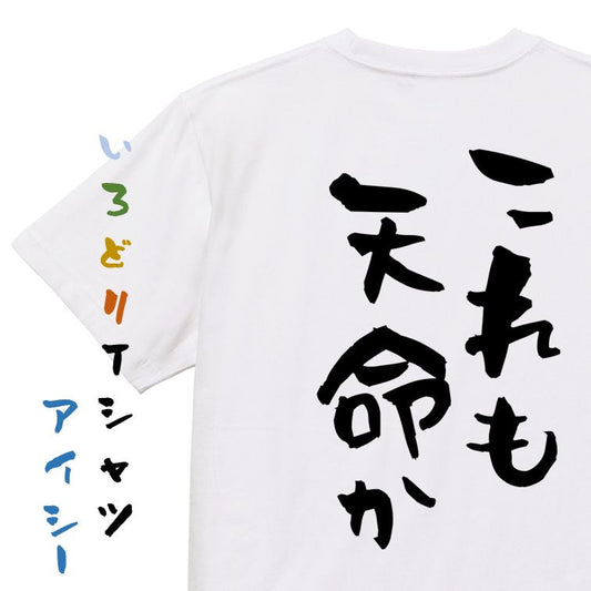 歴史系半袖Tシャツ【これも天命か】おもしろTシャツ　ネタTシャツ