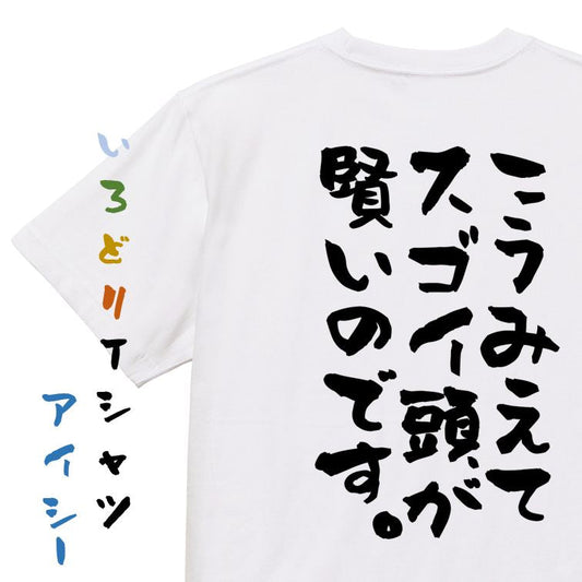 ネタ系半袖Tシャツ【こうみえてスゴイ頭が賢いのです。】おもしろTシャツ　ネタTシャツ