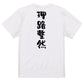 一言系半袖Tシャツ【理路整然】おもしろTシャツ　ネタTシャツ